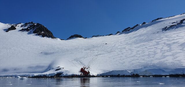 Orne Harbor landing site on Continental Antarctica. We climbed all the way to the top after landing
